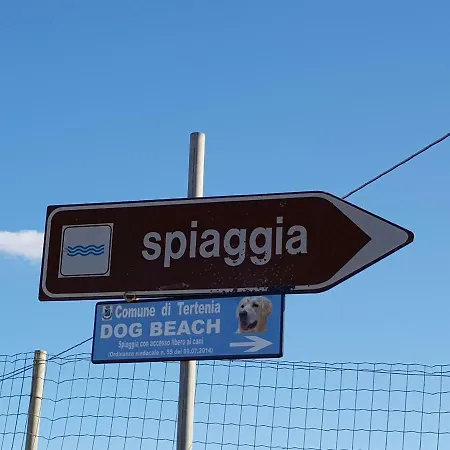 Vakantiehuis Casa Lentisco D Sardegna Ogliastra Tertenìa